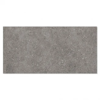 Klinker <strong>Calcare</strong>  Grå Halvpolerad Rak 30x60 cm